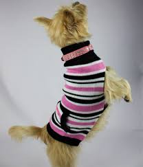 Dogue Candy Stripe Knit Jumpers