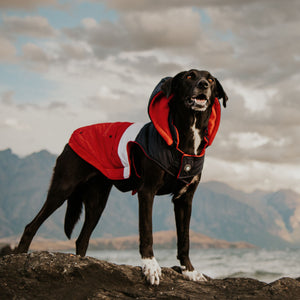 Huskimo Mt Buller Dog Parka Coat - Navy/Red